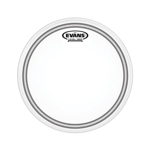 Parche 8" Evans Ec2S Frosted B08Ec2S - gbamusicstore