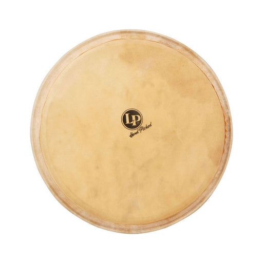 Parche 14" Lp P/ Djembe Galaxy Lp960 - gbamusicstore