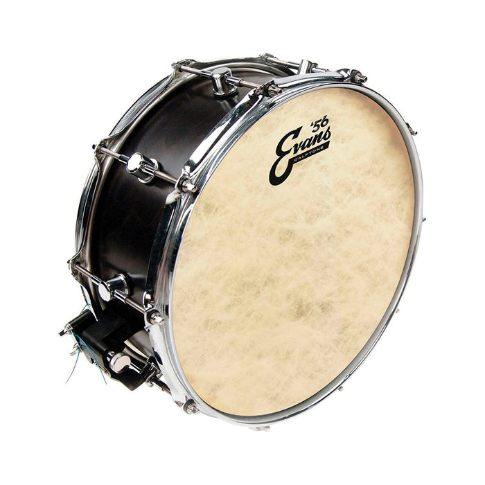 Parche 14" Evans Calftone Tt14C7