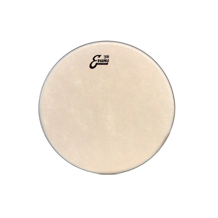 Parche 14" Evans Calftone Tt14C7